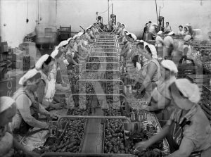 Di Mauro anni Cinquanta